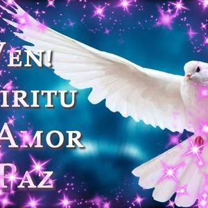 Meet your Posher, Roseliaa